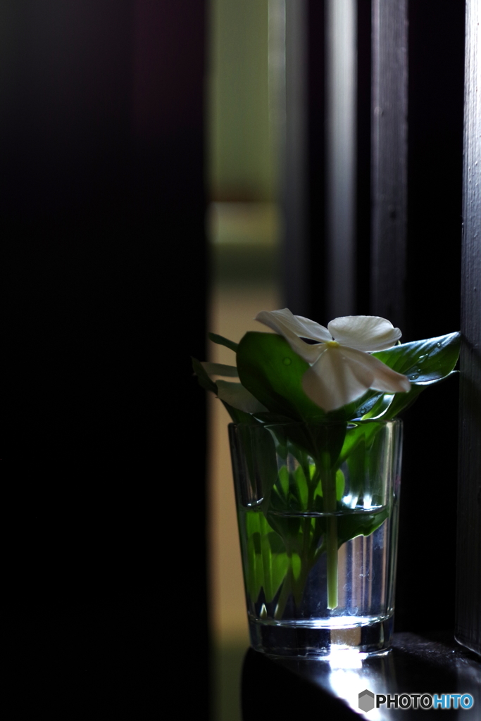 西洋館散歩　TESSAR 50mm F2.8 (2)