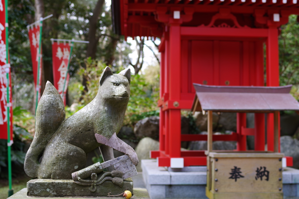 Kamakura散歩 葛原岡神社 きつねさん