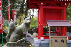 Kamakura散歩 葛原岡神社 きつねさん