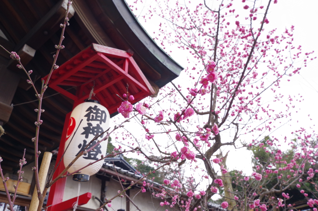 金沢　石浦神社　