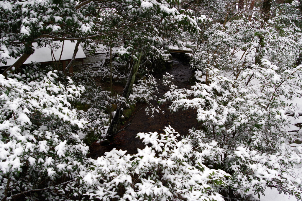 雪の兼六園 (28)