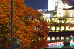 紅葉 みなとみらい夜