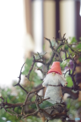 ベーリックホール　白雪姫　pentacon 50mmf1.8
