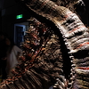 ［蔵出し］ ゴジラ大特撮展＠横浜　シンゴジラ