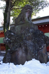 大国魂神社 狛犬達 (5)