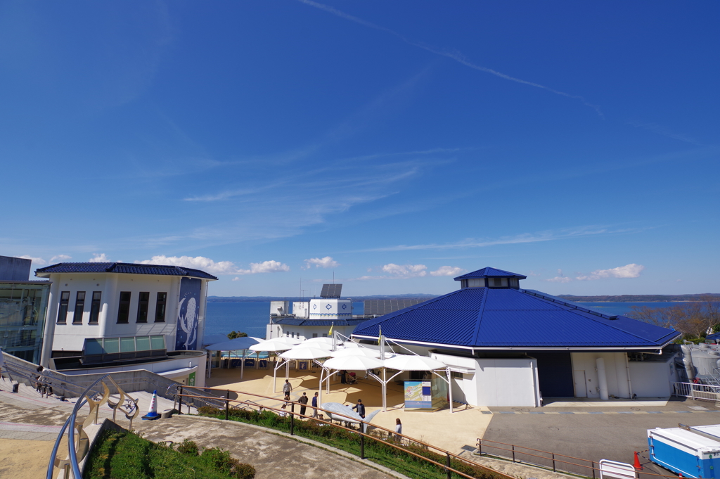 のとじま水族館 なかなか楽しかったです。入館料が高すぎるけど・・・