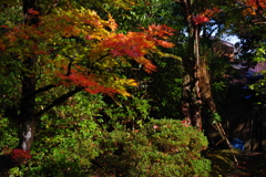 那谷寺 紅葉 (28)