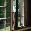 外交官の家 端午の節句 古いガラス窓からの風景