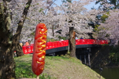弘前さくら祭り　赤い橋とお腹が空きすぎて買ったフランクフルト