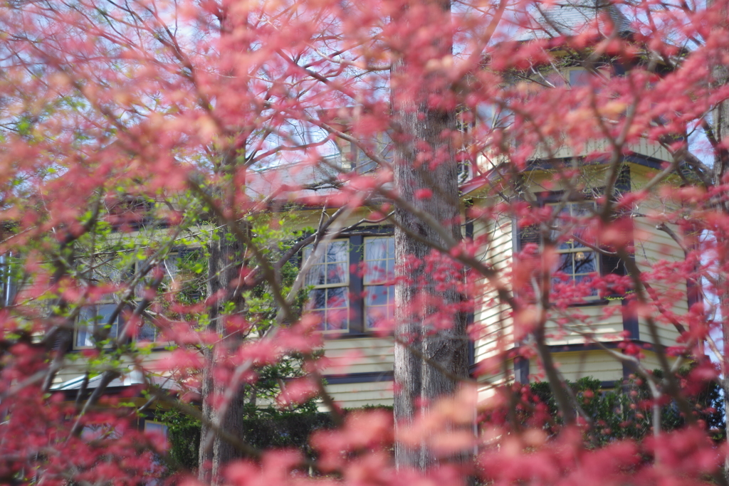 いつもの西洋館ぶらぶら　春だけど秋っぽく