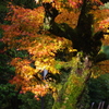 那谷寺 紅葉 (44)