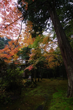 那谷寺 紅葉 (9)