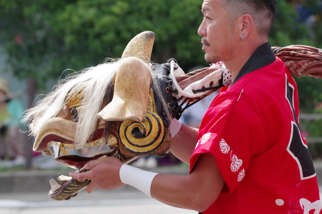 金沢百万石祭 加賀獅子ご一行 獅子様 by K.Nori （ID：8755588） - 写真共有サイト:PHOTOHITO