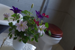 いつもの西洋館ぶらぶら　トイレのお花