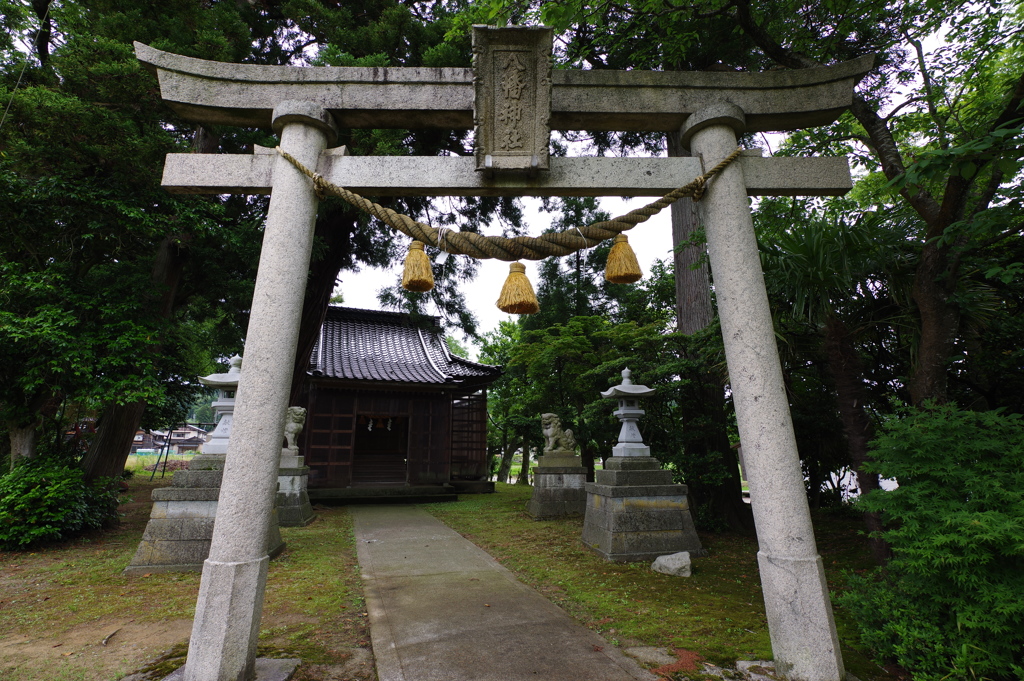 雨の次の日　近くの神社