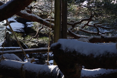 雪の兼六園 (2)