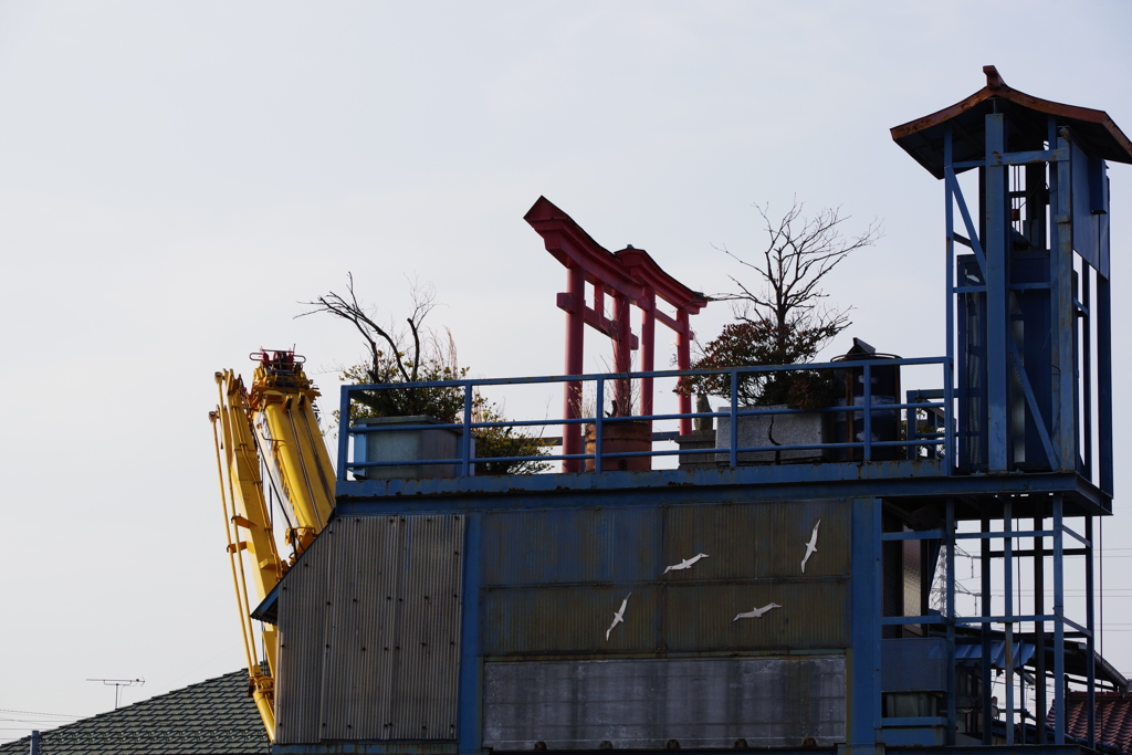 近所 散歩 天空の稲荷神社