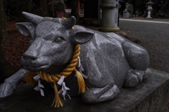 河口湖周辺 浅間神社