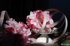 西洋館散歩 super takumar 55mm f1.8