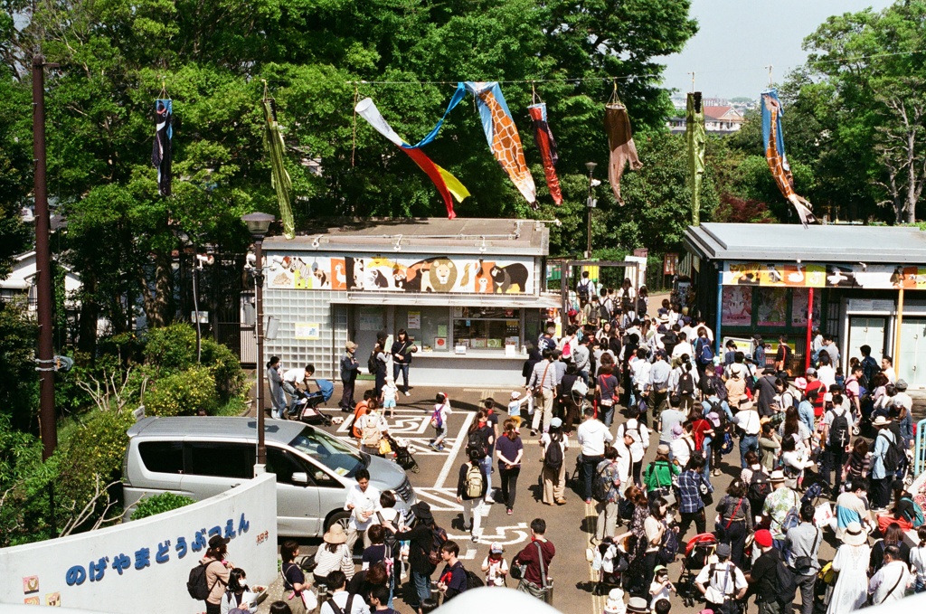 野毛山動物園(フィルム) 大人気