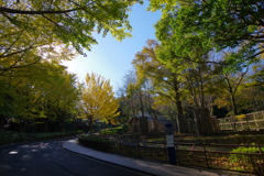 金沢動物園 秋と動物をテーマに撮ってみた！ ただの紅葉