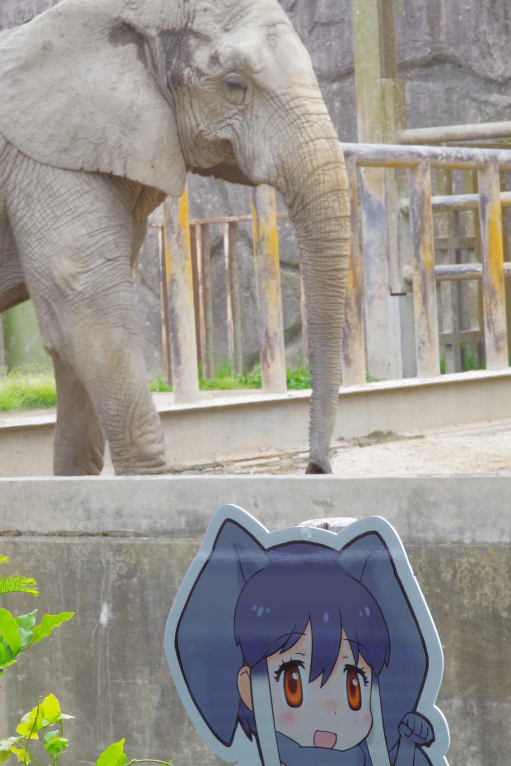 東武動物公園　フレンズと動物