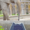 東武動物公園　フレンズと動物