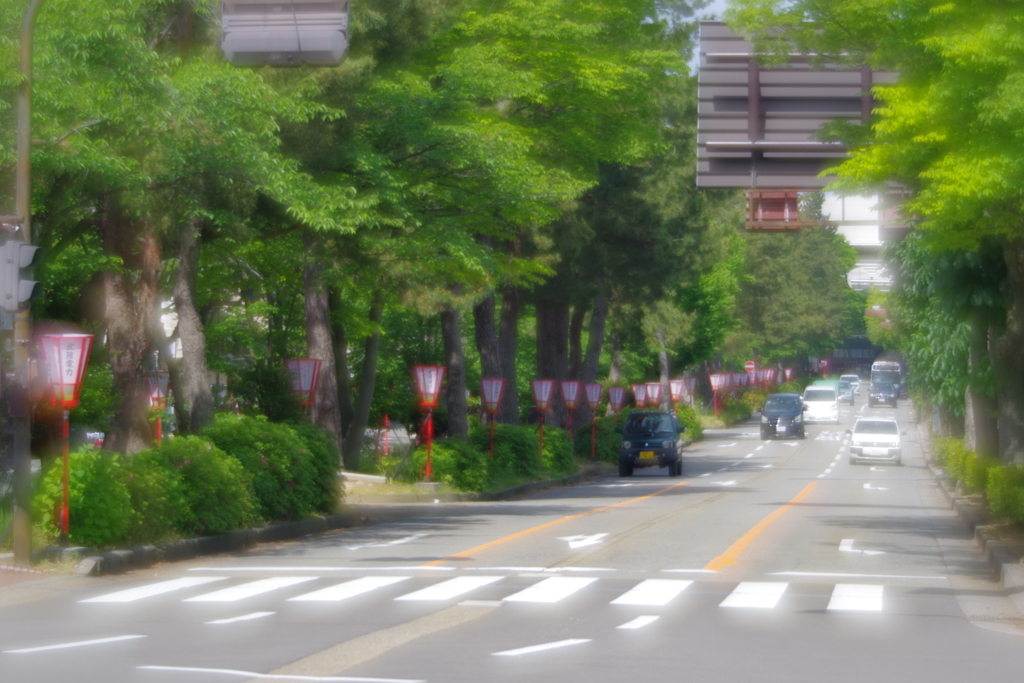 早朝のお散歩 ソフトフォーカスレンズ3