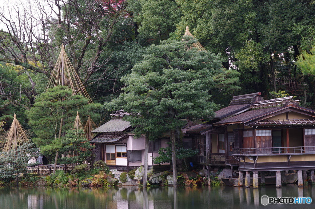 雨に濡れる晩秋の兼六園 (27)