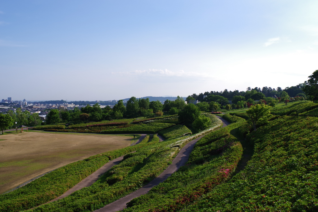早朝のお散歩 (4)