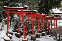 雪の兼六園 朱色と雪