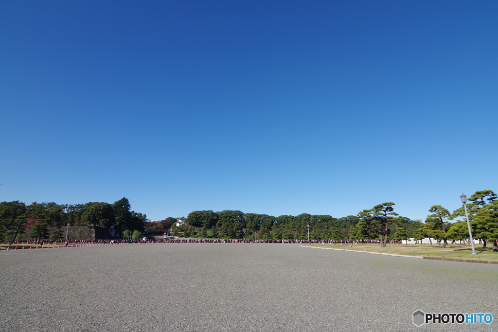 皇居 紅葉2015年 (1)