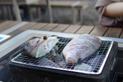 八景島シーパラダイス　鯛は炭火でじっくり焼きます