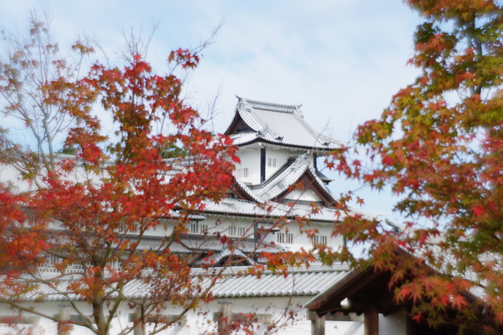 金沢 紅葉 オールドレンズ散歩 (40)