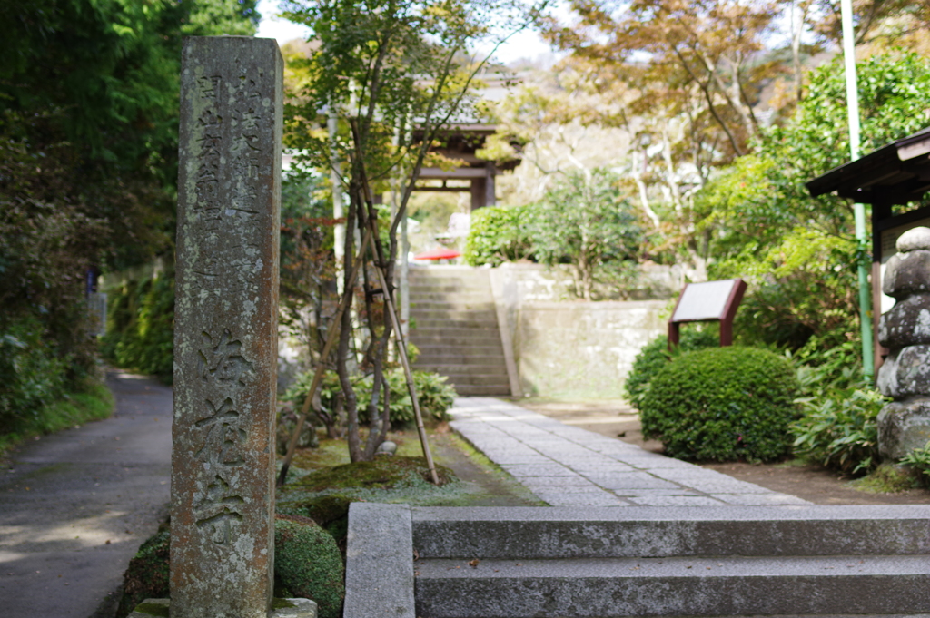 Kamakura散歩 海蔵寺