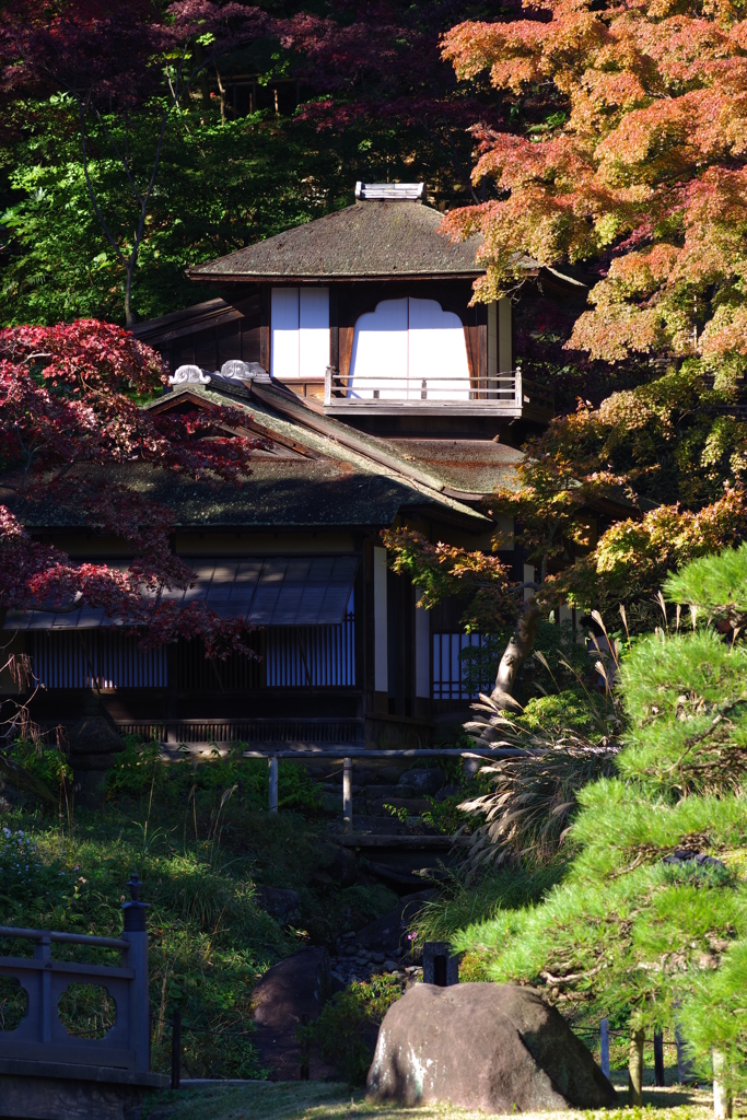 微妙に紅葉した三渓園