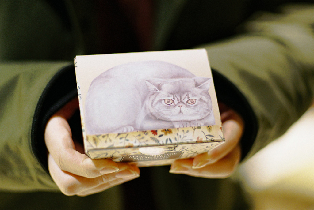 フィルム 可愛い猫のパッケージ