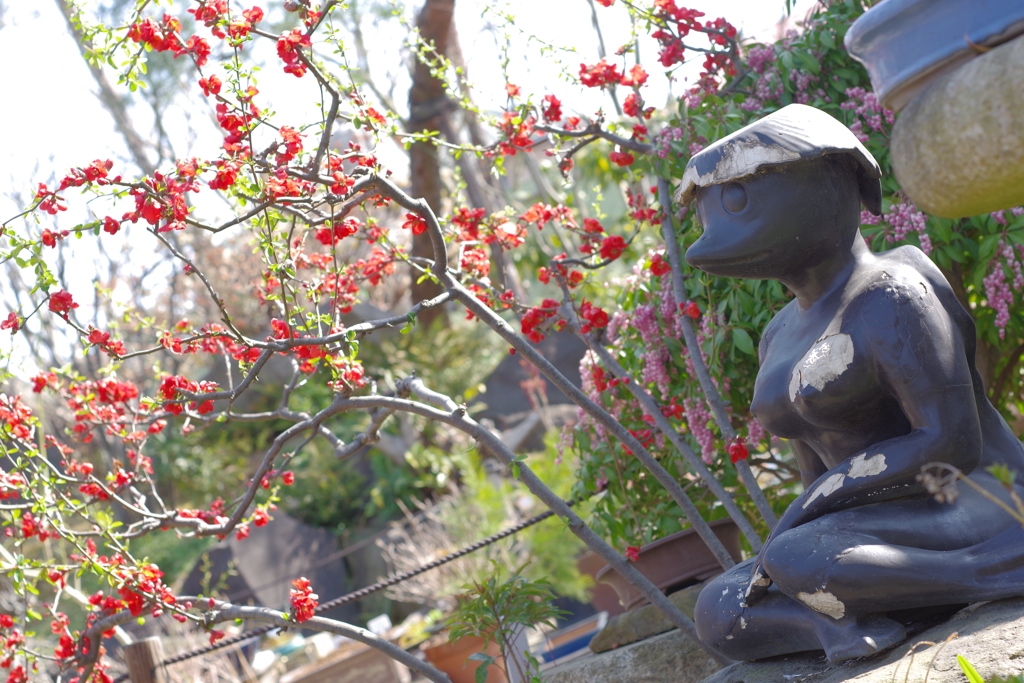 常泉寺　女性のカッパ