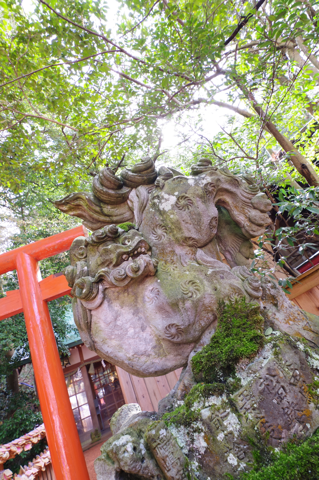 金沢　石浦神社　逆さ狛犬