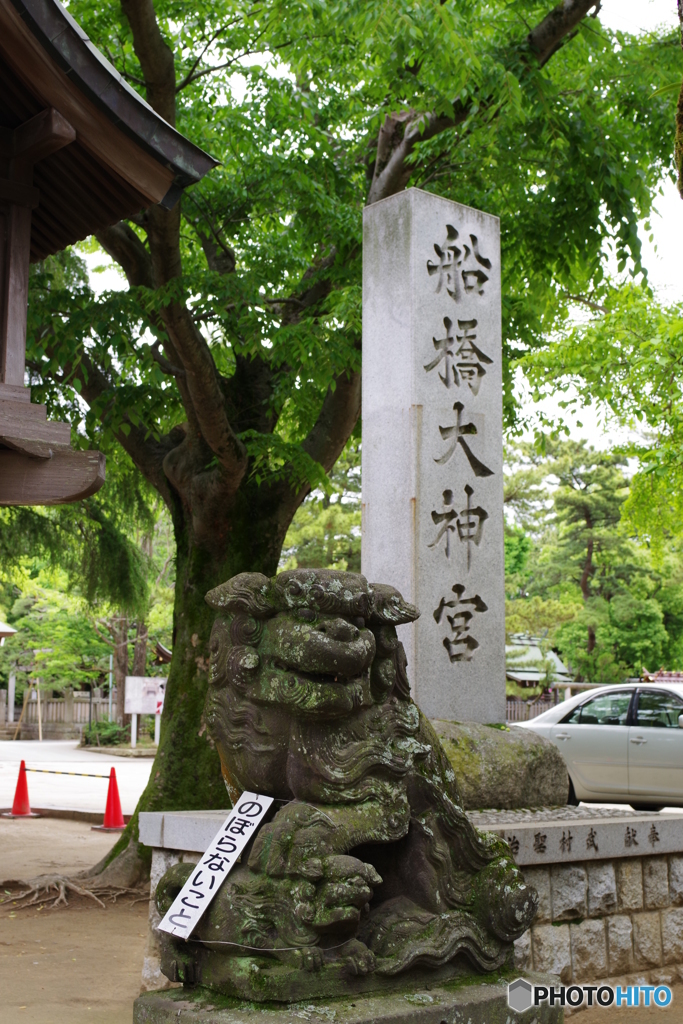 船橋大明神 (5)