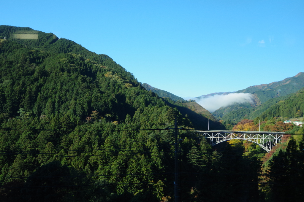 電車で奥多摩駅へ 電車からの風景