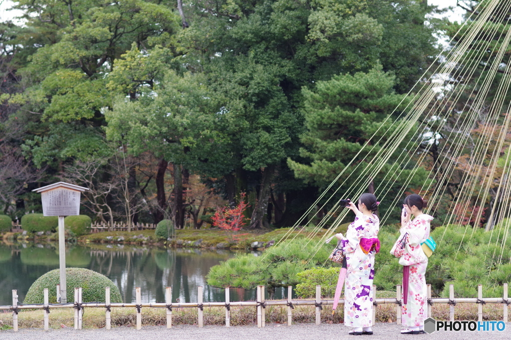 雨に濡れる晩秋の兼六園 (26)