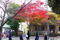 山手234番館 アメリカのクリスマス