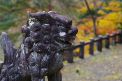 奥多摩湖 小河内神社 狛犬様