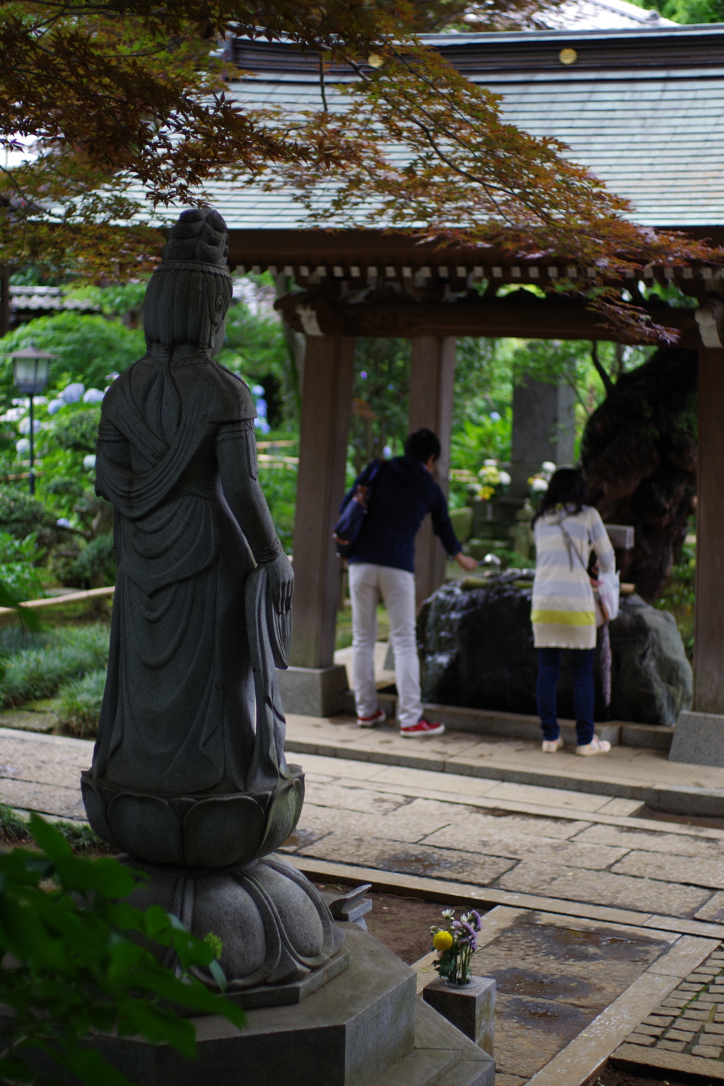 妙楽寺 見守る背中