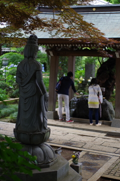 妙楽寺 見守る背中