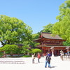太宰府天満宮　快晴