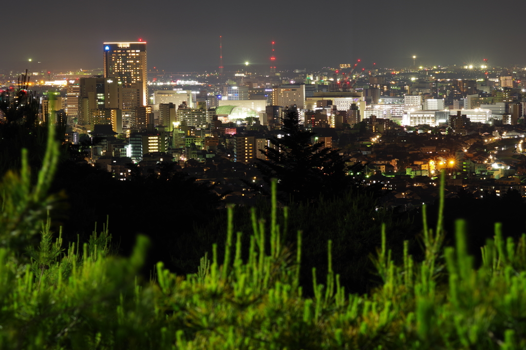 金沢 卯辰山より夜景