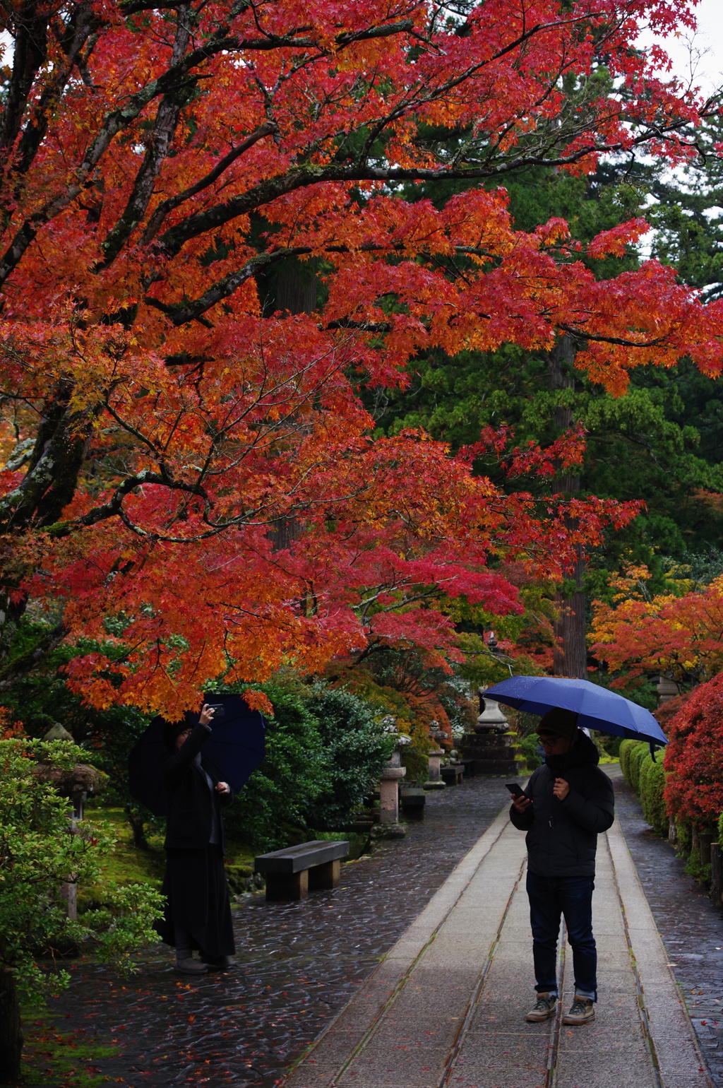 那谷寺 紅葉 (84)