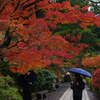 那谷寺 紅葉 (84)